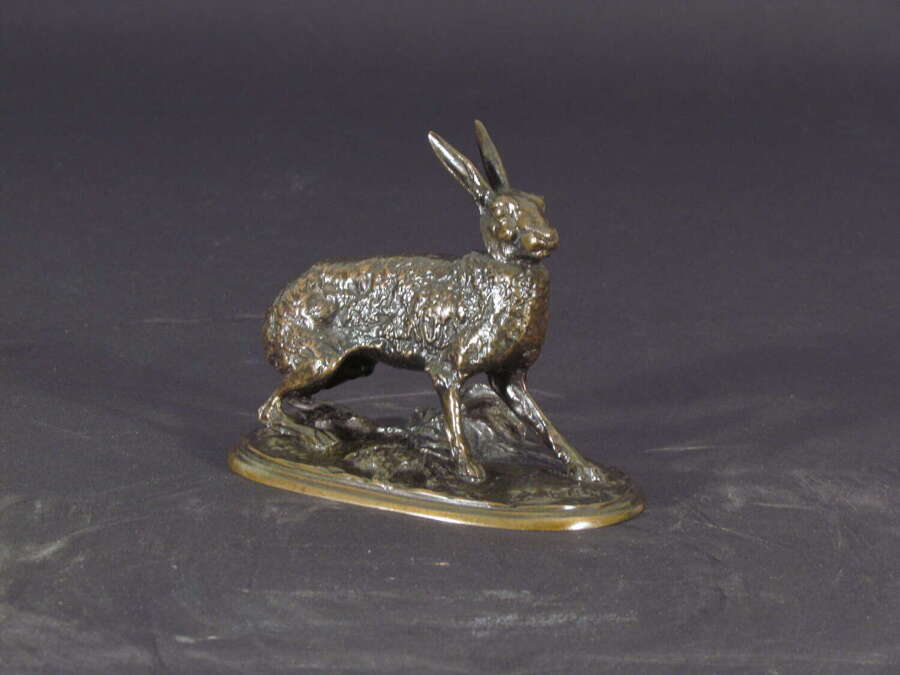 Resting Hare